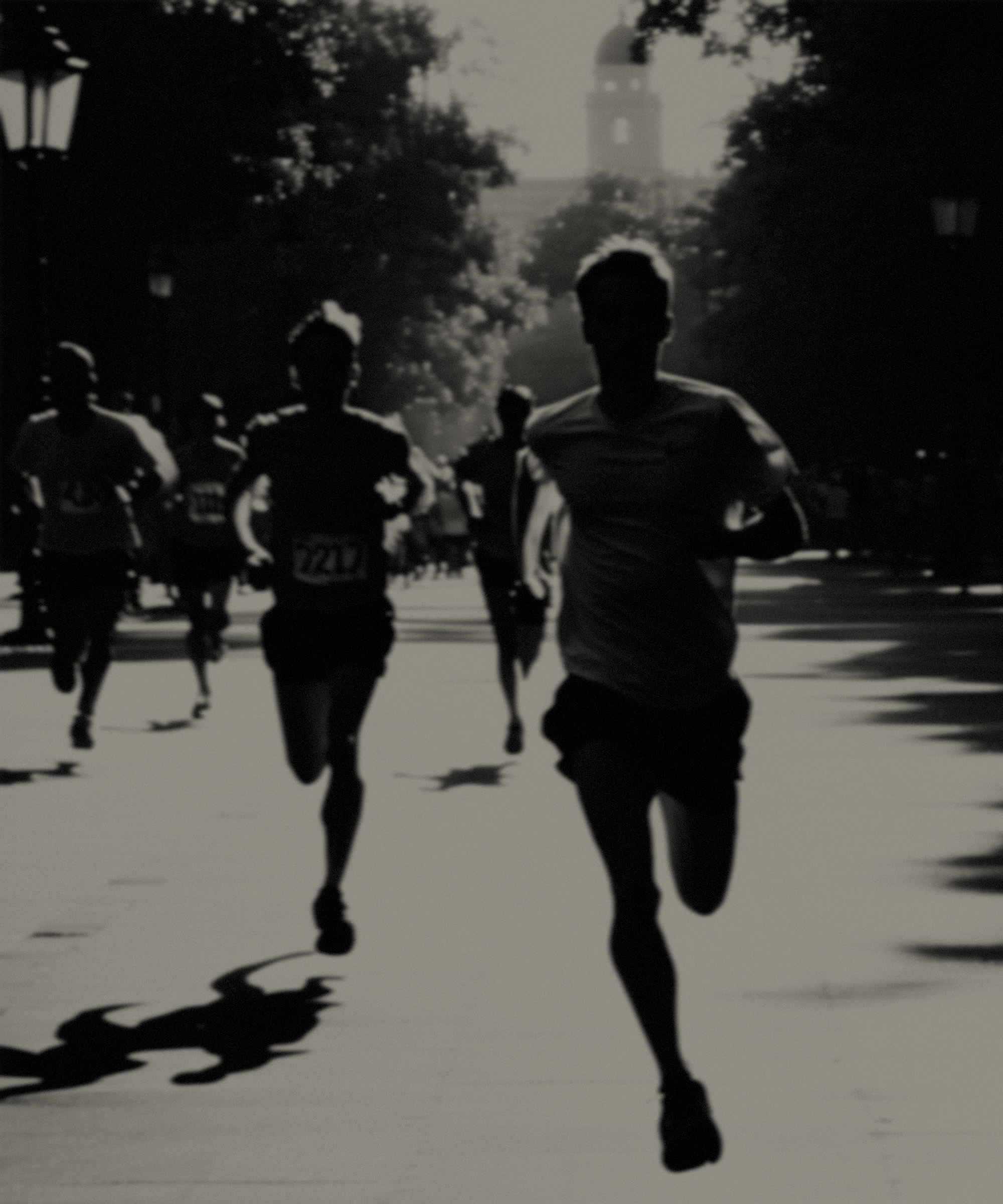 run MEX